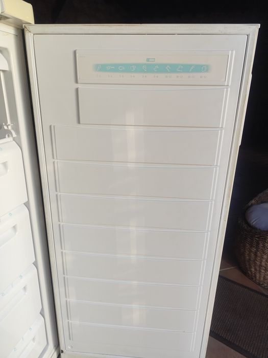 Arca frigorífica vertical