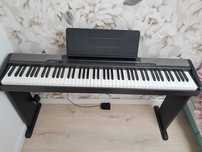 Pianino Casio CDP 100