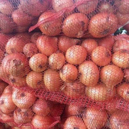 Продам (Цибуля домашня)