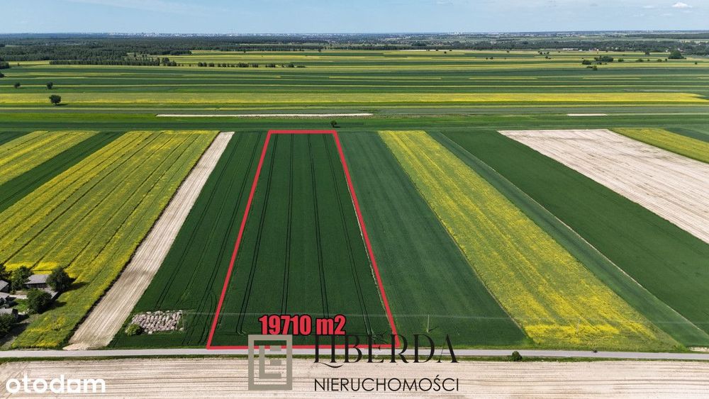 Działki budowlano rolne, Jabłonna Majątek 1,97 ha