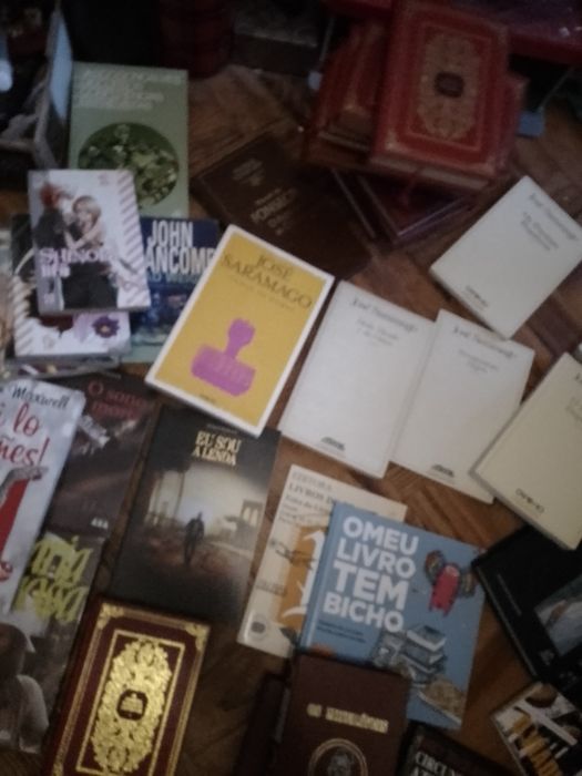 Saldos De livros: saramago e muitos outros antigos/Modernos  Desde 2E