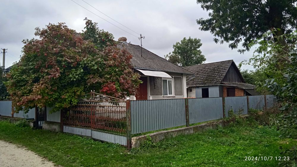 Будинок з присадибною ділянкою