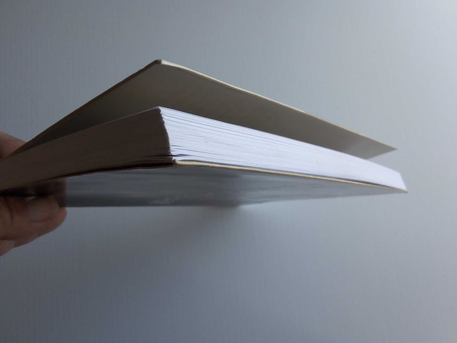 Livro "Irresponsáveis", de Camilo Lourenço