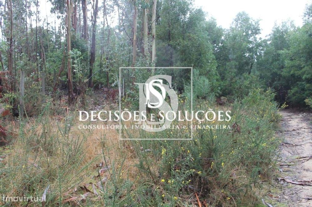 Terreno em Carvalhosa