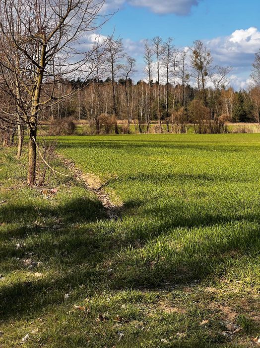 Działki, Tuchola, Sieraków