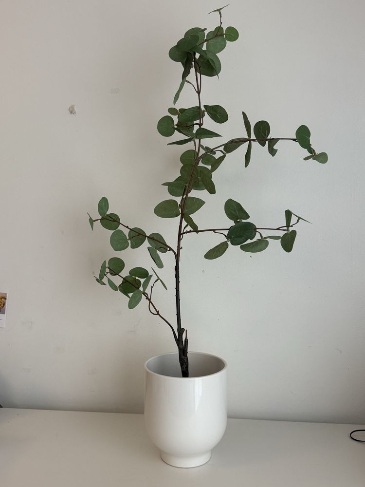 Planta falsa + vaso