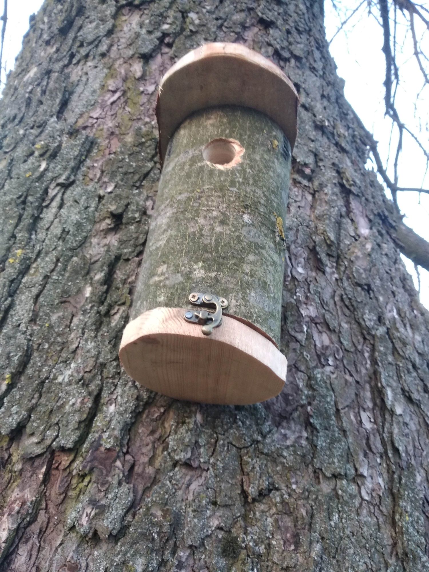 Budka lęgowa naturalna - domek dla małego ptaka