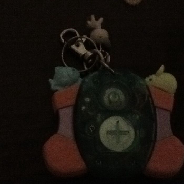 Tamagoshi - Hasbro, Year 2007 – Like New, Shipping Included64552027513475122