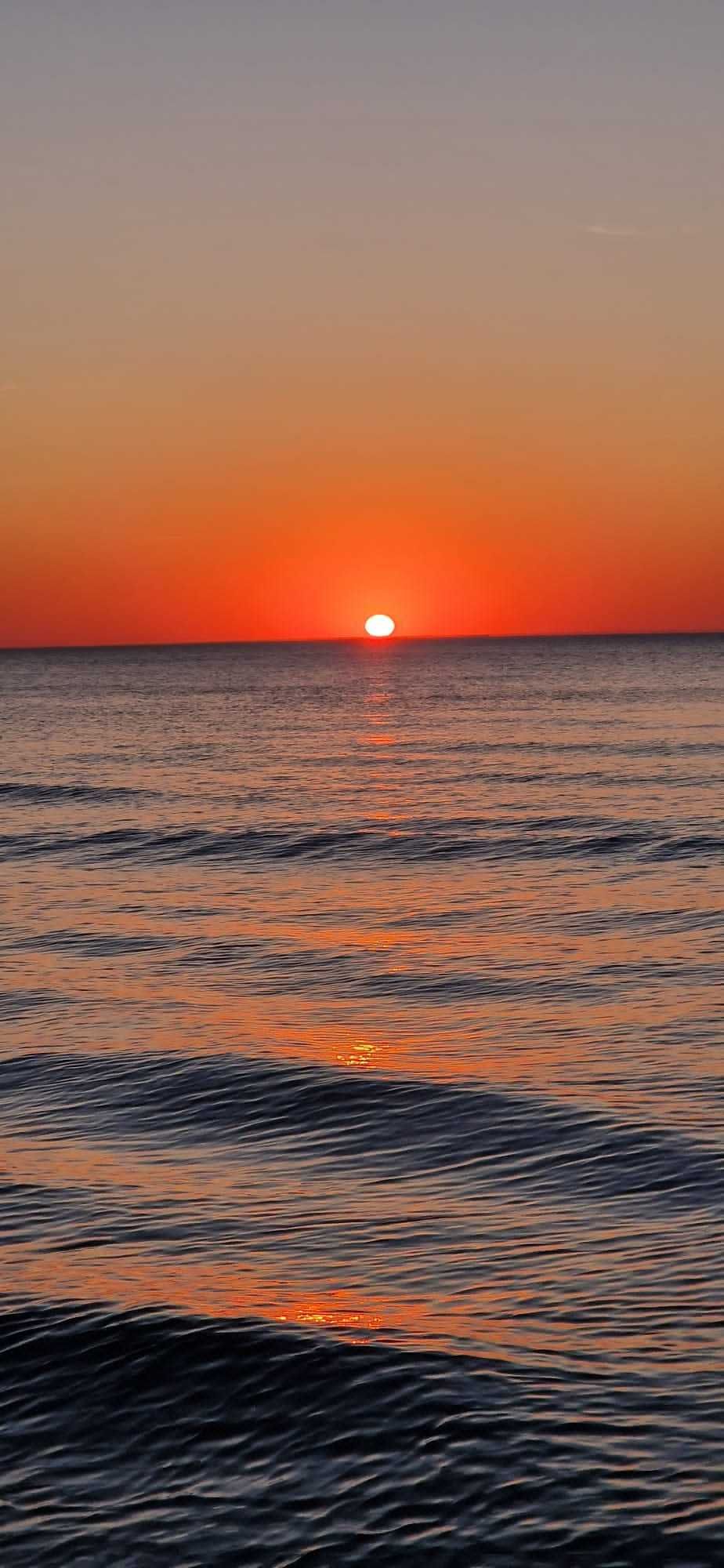 Domek na skraju sosnowego lasu w Rowach wynajmę - 600 m do plaży