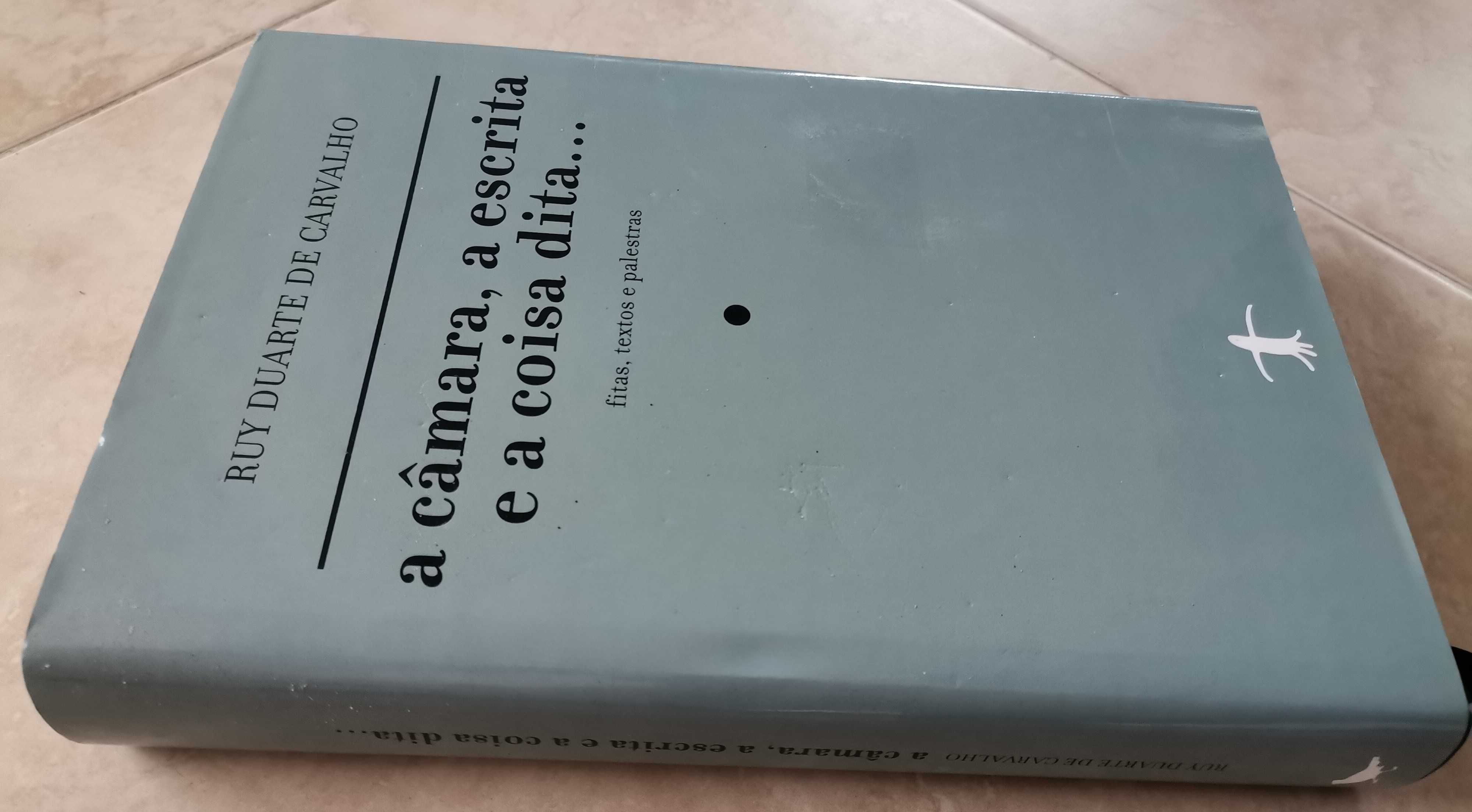 Portes Grátis - A câmara, a escrita e a coisa dita