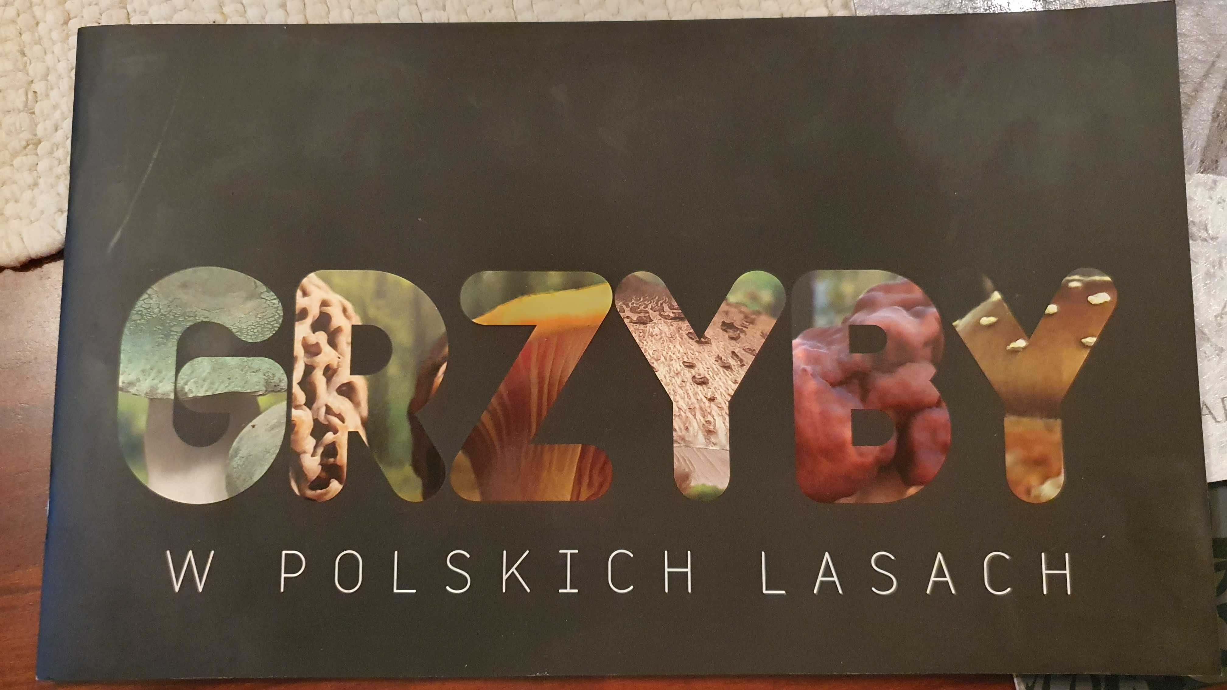 Folder - GRZYBY w polskich lasach znaczki i koperty