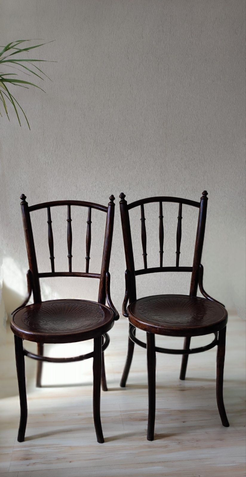 Стулья, стільці віденські, старовинні, Тонет, THONET.