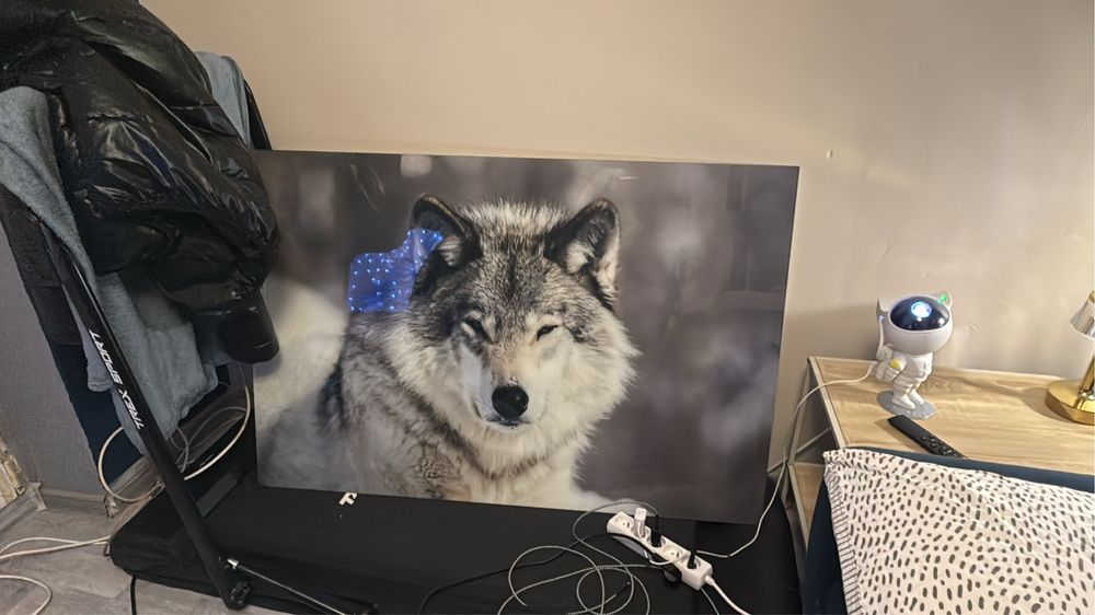 Obraz nowoczesny wilk