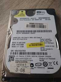 Dysk 250GB WD2500BEVS