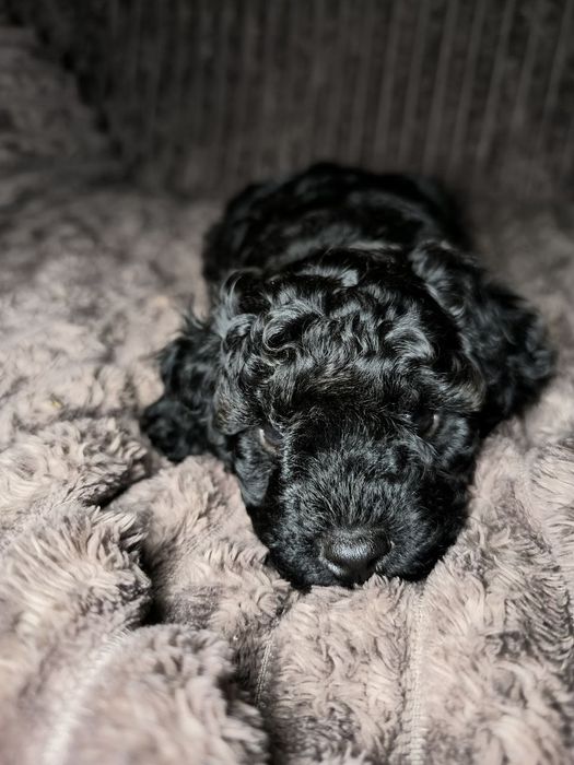 Маленький мальчик