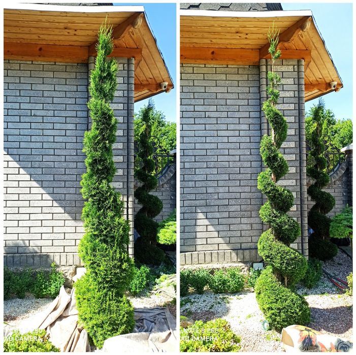 ПокісТрави#Газон#ДоглядЗаГазоном#ВичісуваннГазону#Обрізка