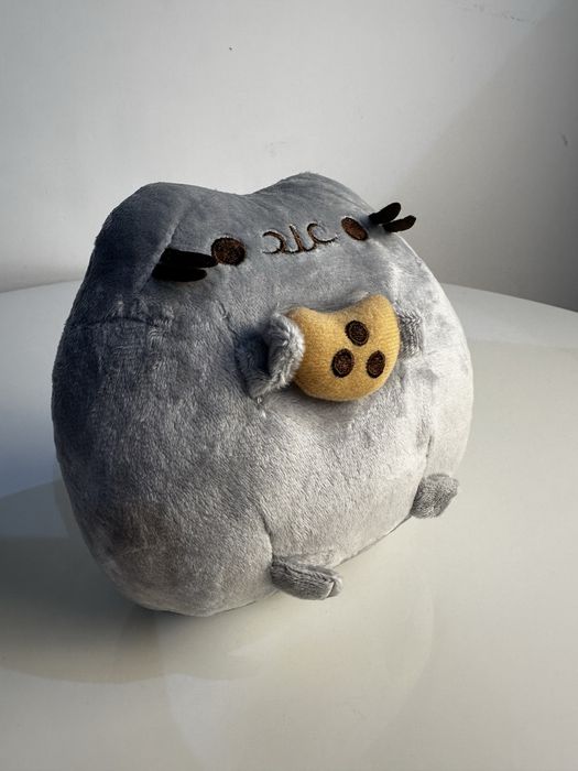 Pusheen z ciastkiem