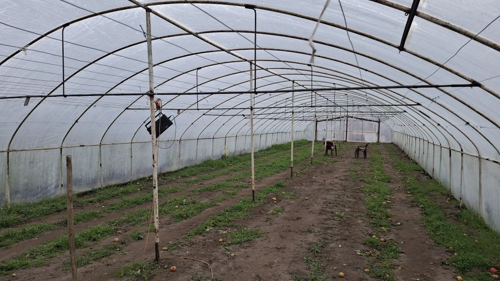 Tunel foliowy stelaż + folia