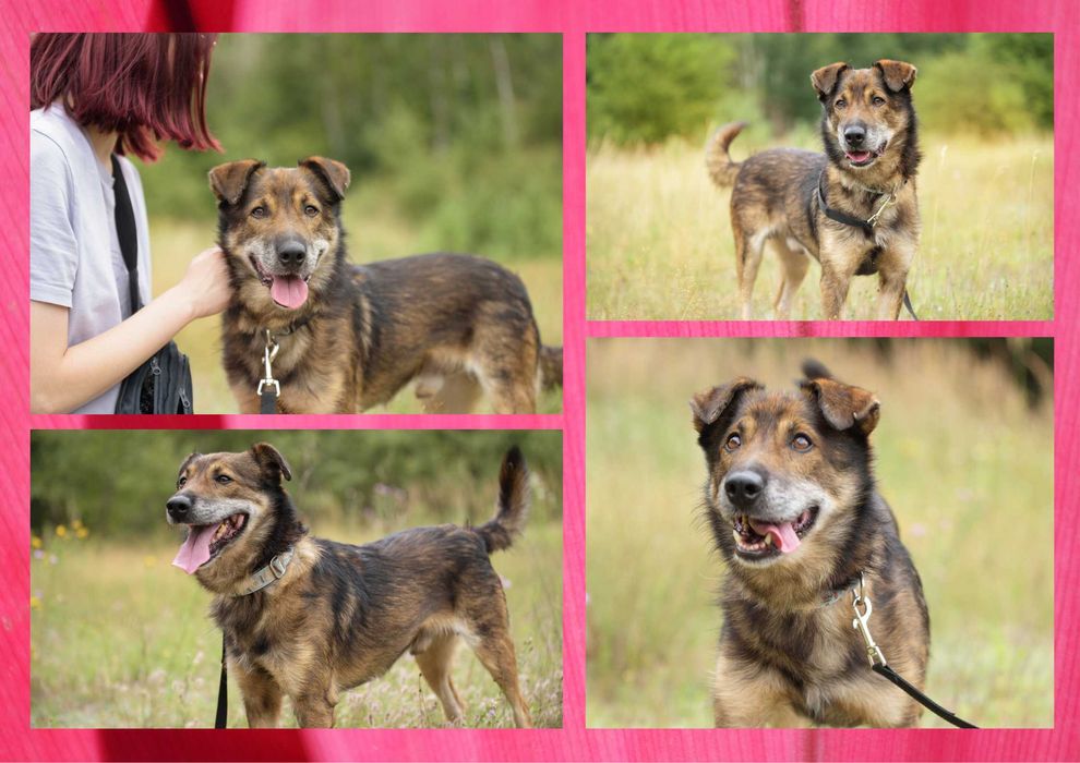 GAZIO - marzy o nowym domu i rodzinie :)