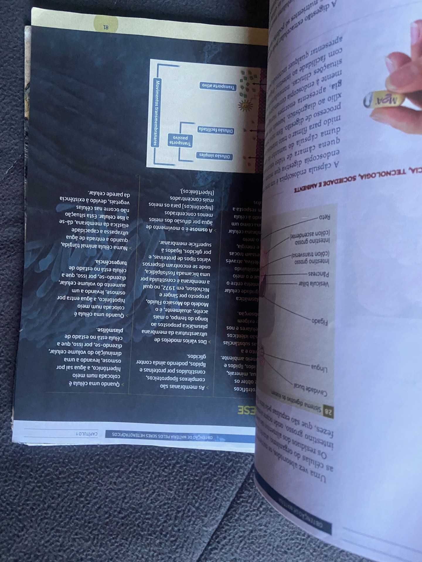 Manual de 10ºAno Biologia Geografia e Caderno de Atividades