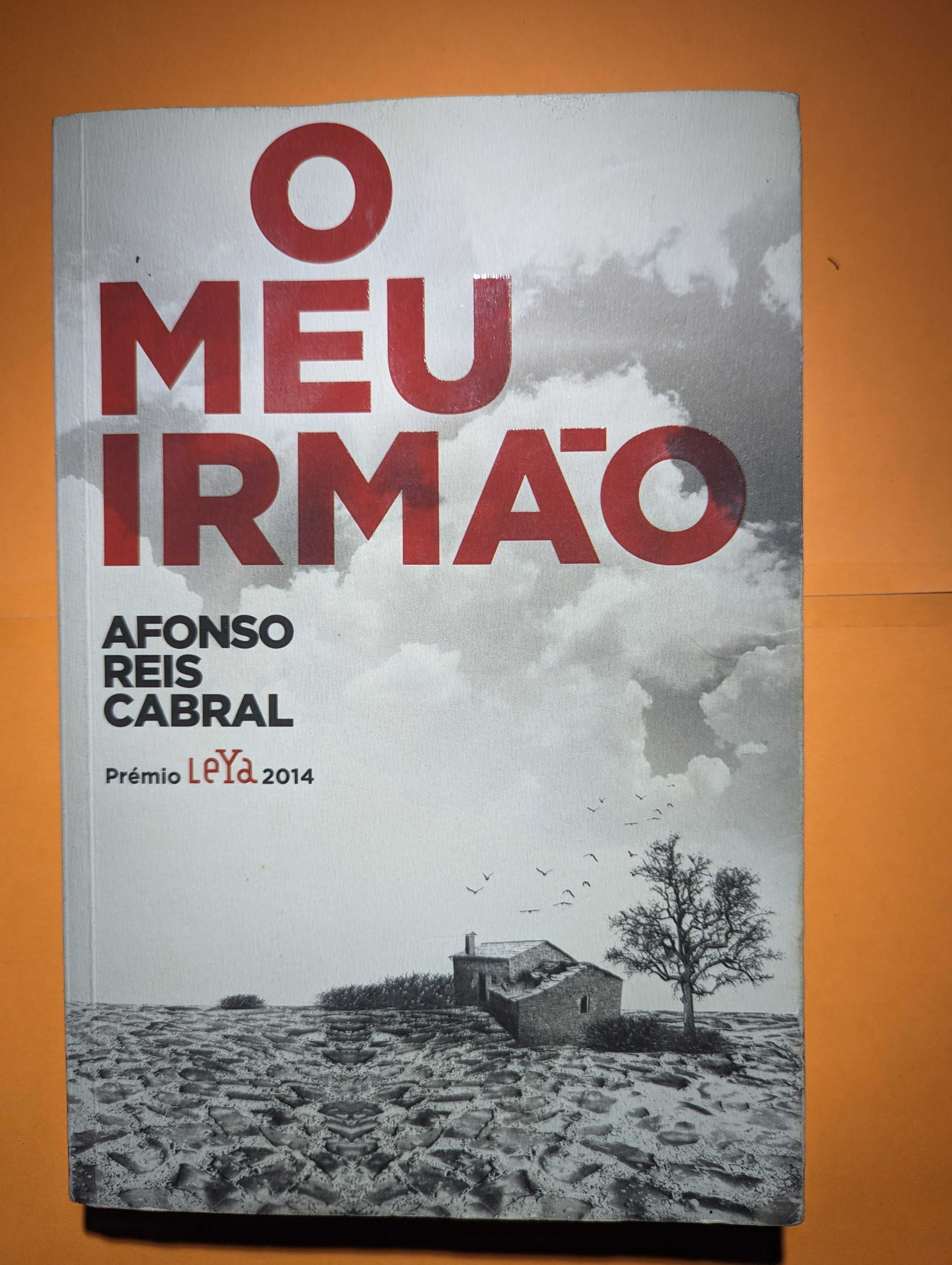 O Meu Irmão - Afonso Reis Cabral