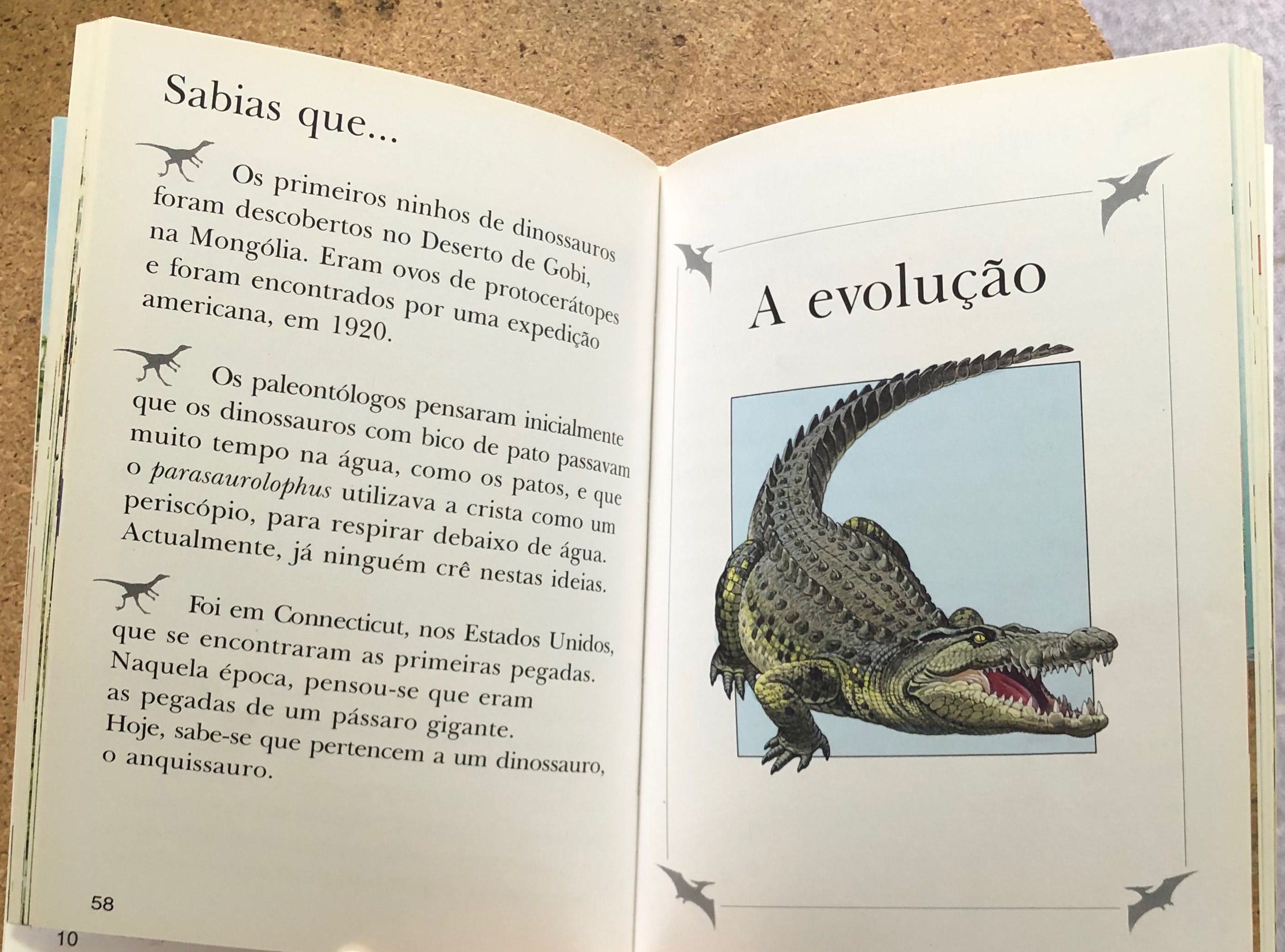 Livros sobre Dinossauros e Feras