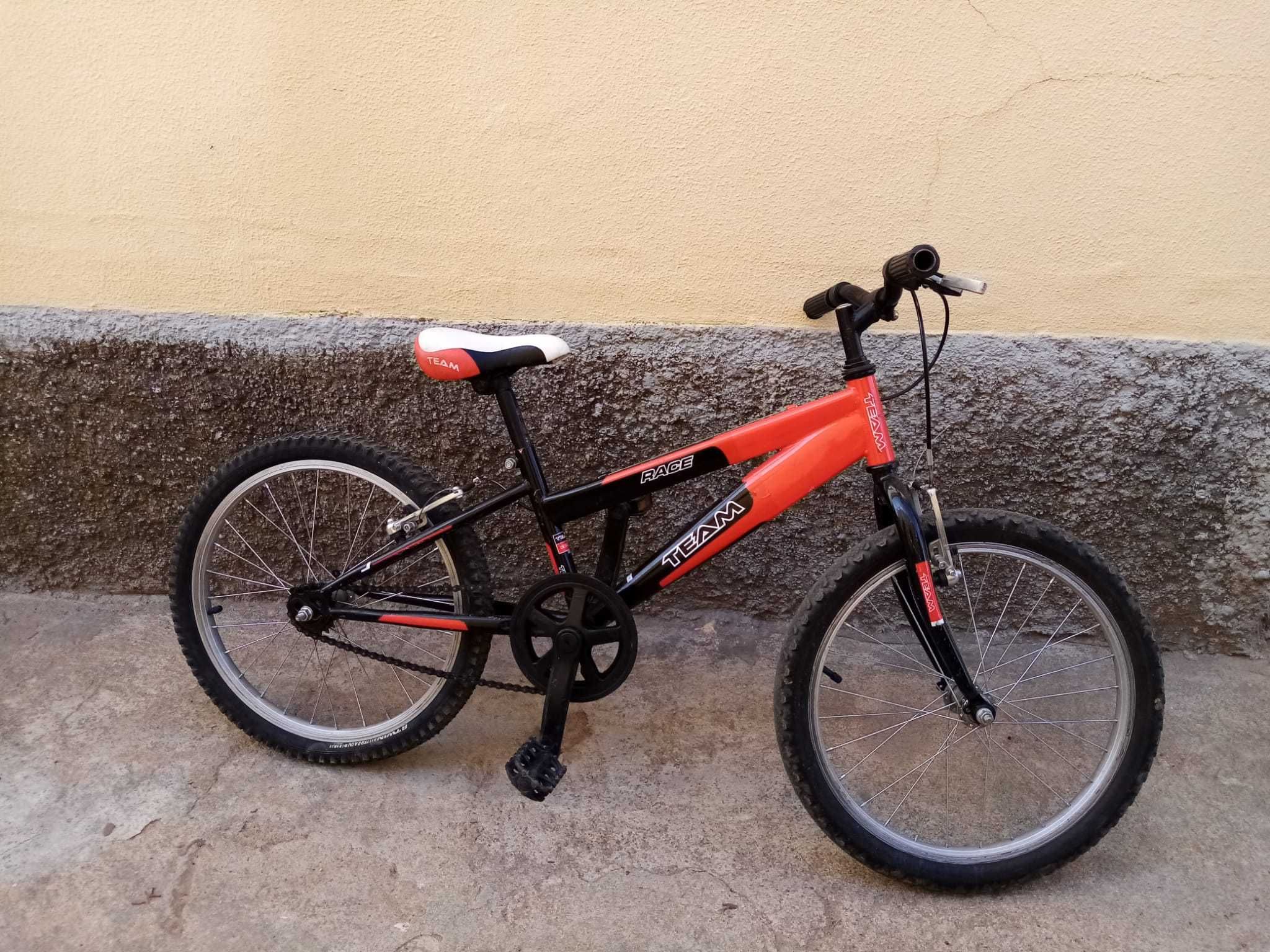 Bicicleta "Team"