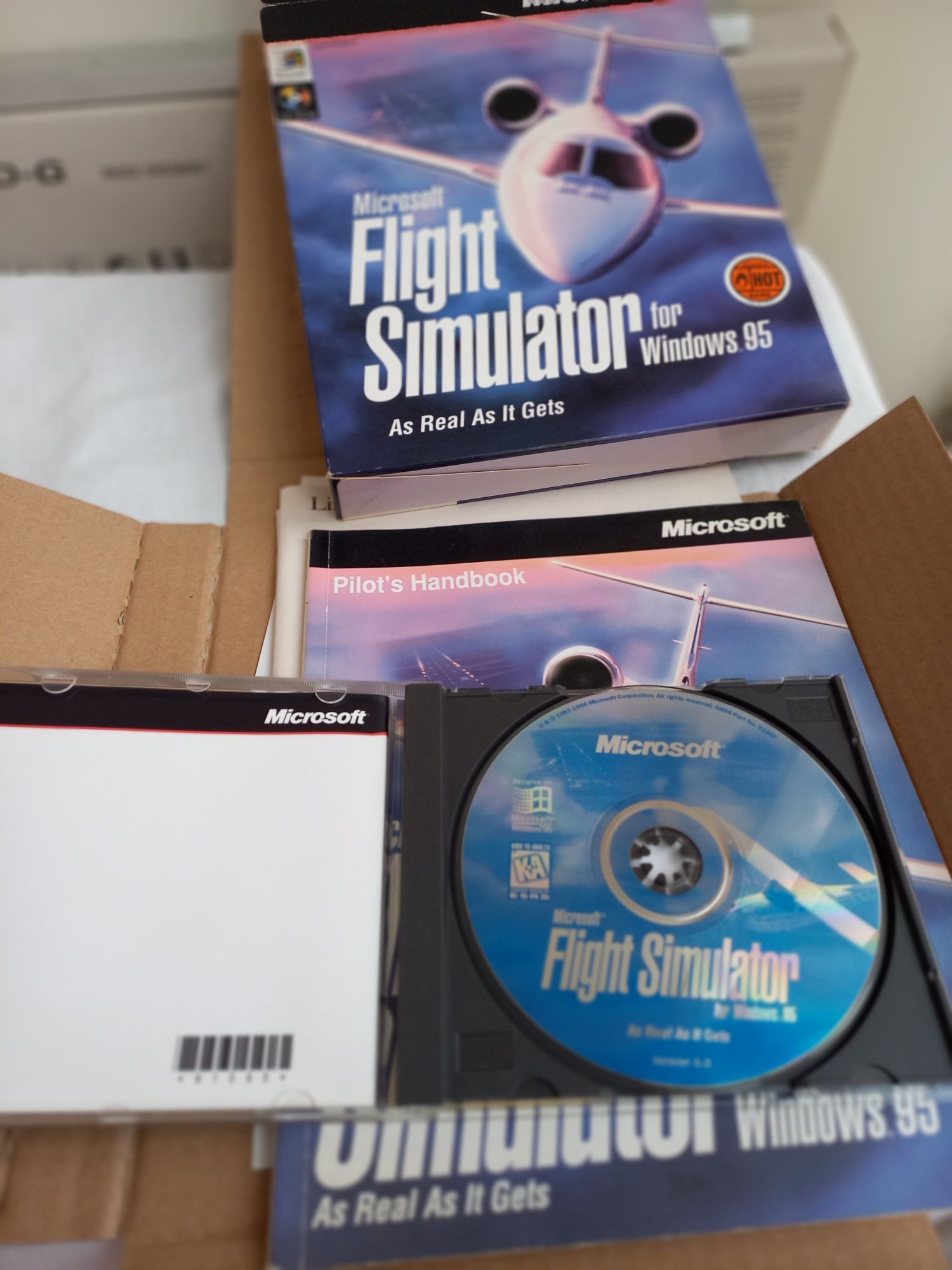 Flight Simulator 95