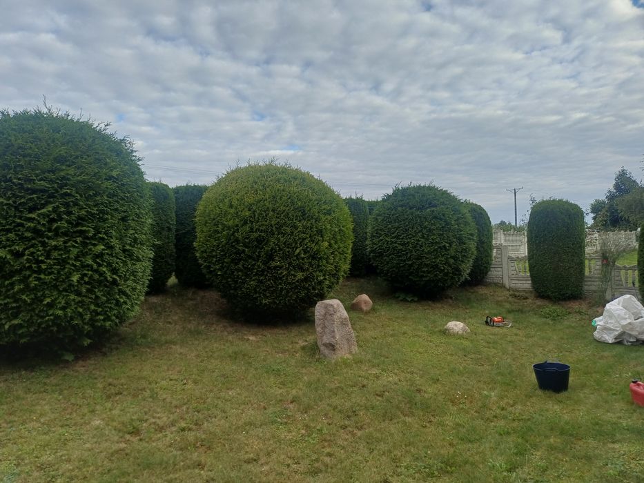 Usługi ogrodnicze