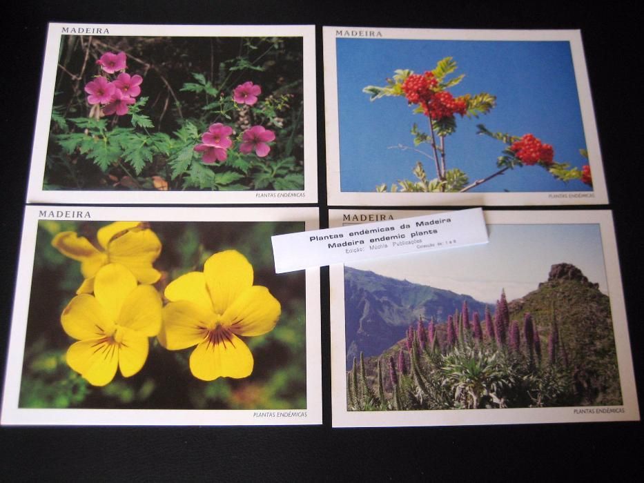 Colecção de 8 Postais - Plantas Endémicas da Madeira