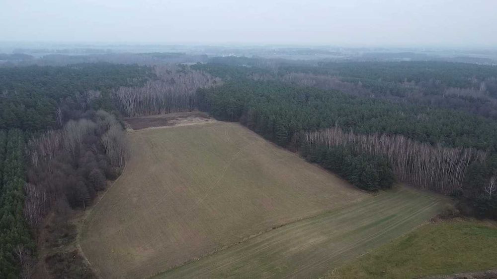 Sprzedam ziemię rolną i las 9,5 ha Targonie.