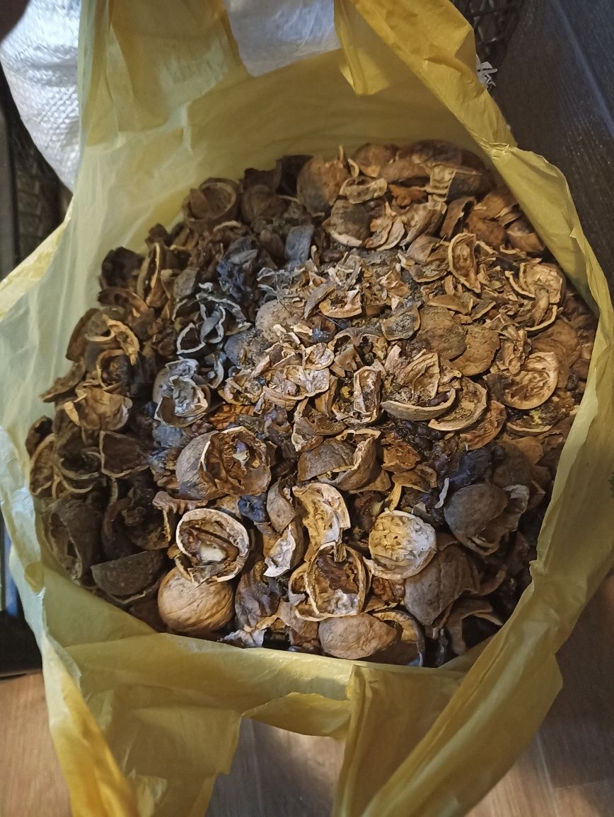 Продам скорлупу от грецкого ореха