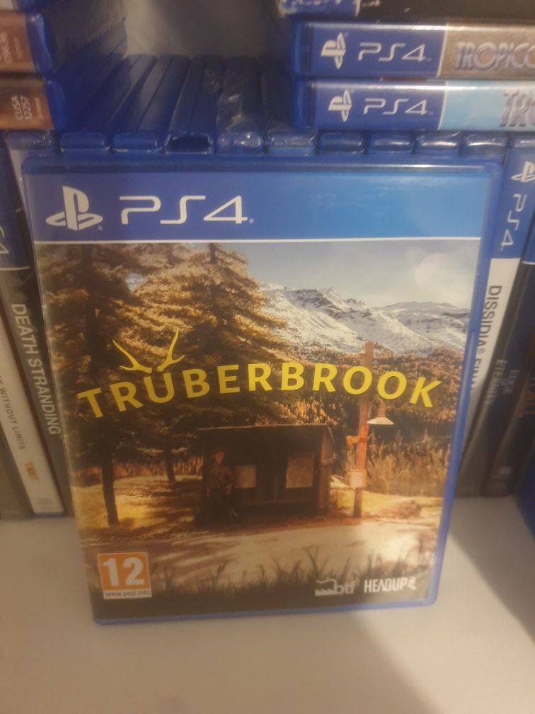 Truberbrook PL ps4 ps5 playstation 4 5