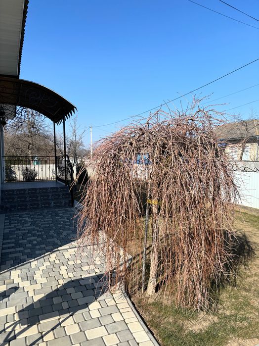 Продається будинок