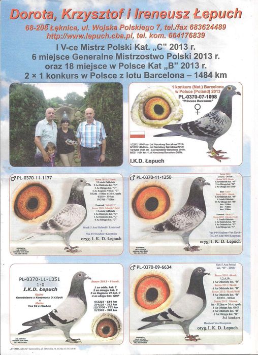 Młode Para 49 Oryg. IKD Łepuch Linia Vos 74 gołąb gołębie pocztowe