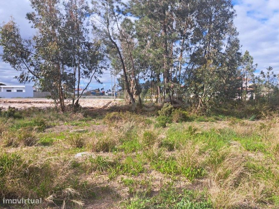 Terreno para construção de moradia em local calmo e fácil acesso.