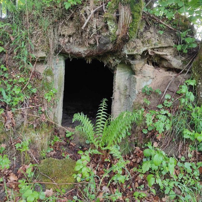 Działka budowlana 33,4 ar Pietrusza Wola