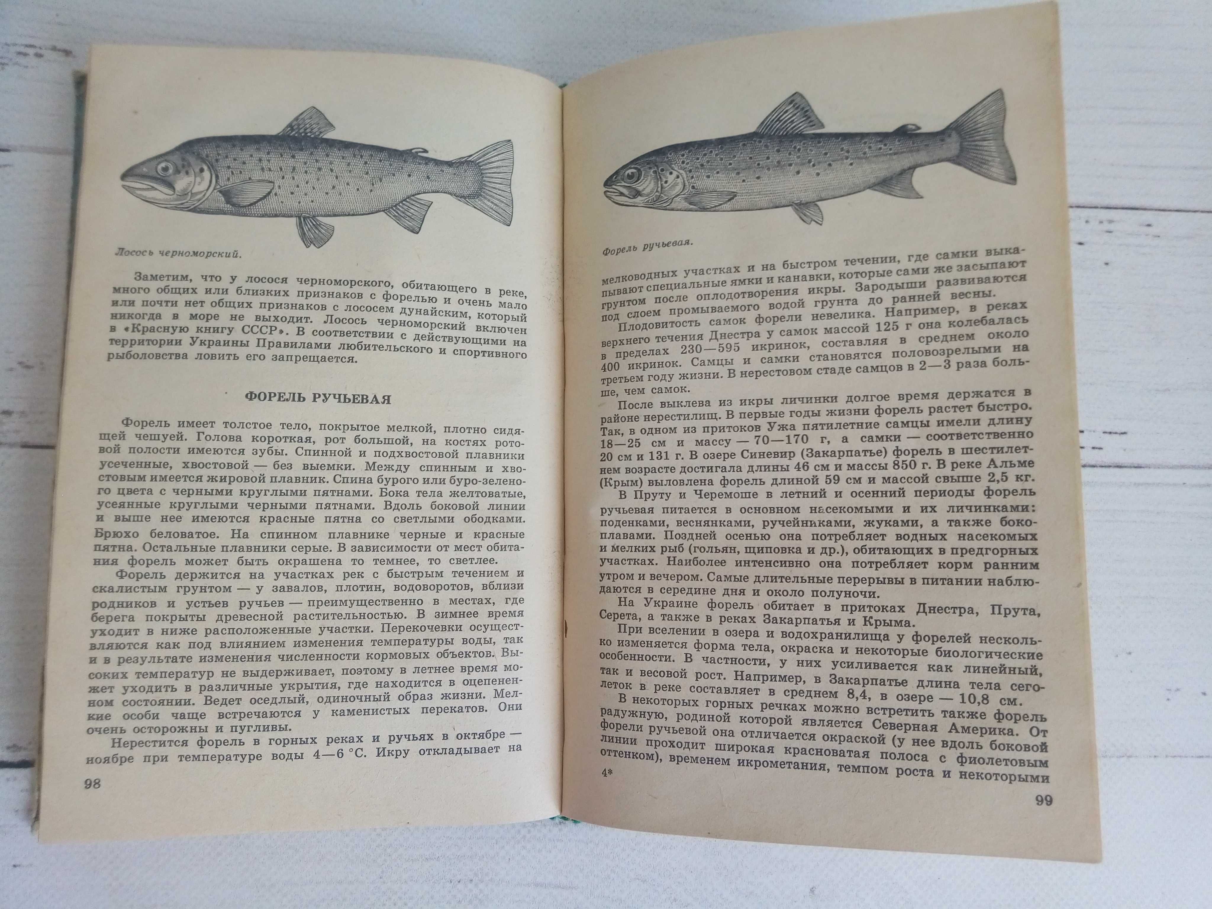 Книга Любительское рыбаловство 1985 года