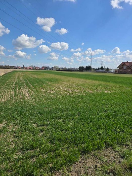 Łęg Tarnowski 10 arów z warunkami zabudowy.