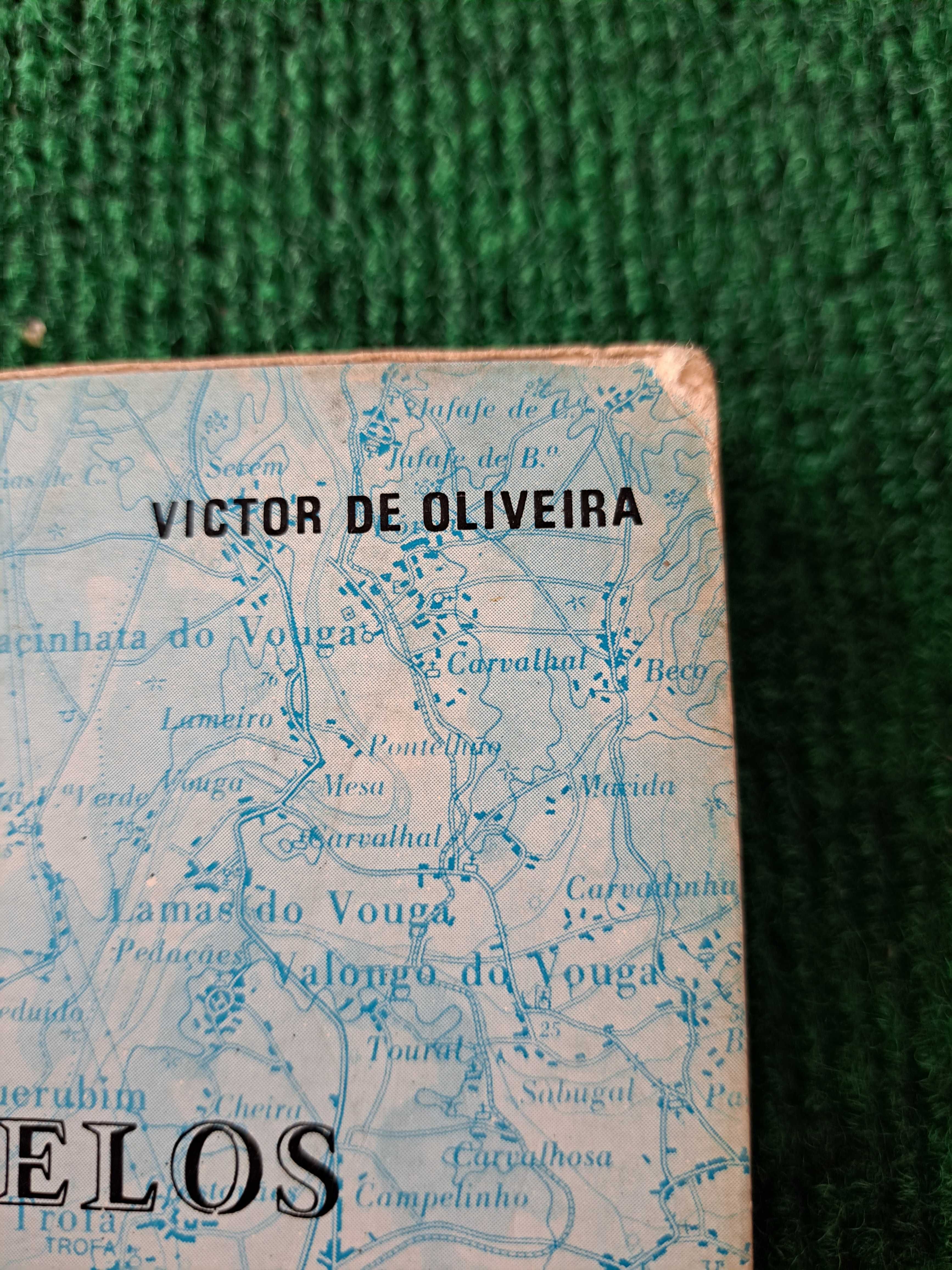 Pateira de Fermentelos - Polémicas Ribeirinhas - Victor Oliveira