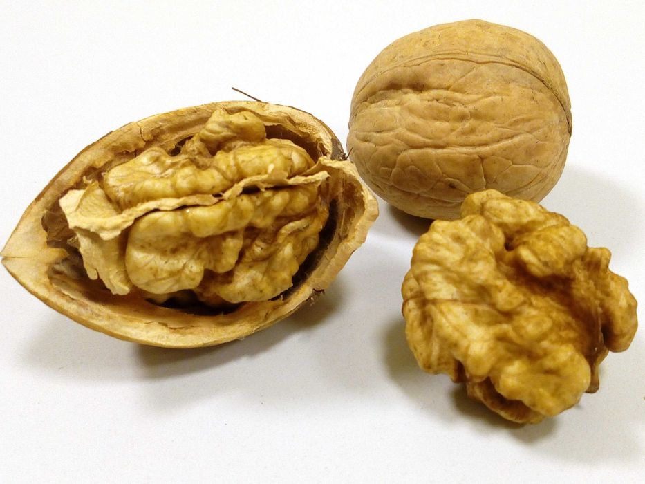 Orzechy włoskie ŁUSKANE 1 kg 1000 g własna plantacja EKO