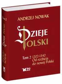 Dzieje Polski. Tom 2. Od rozbicia do nowej Polski - Andrzej Nowak