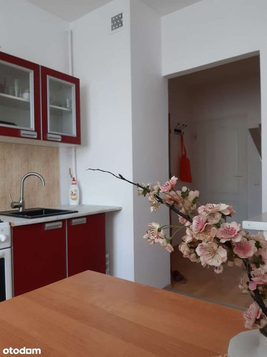 Duże mieszkanie z 2 osobnymi pokojami, przy stacji metra Kabaty