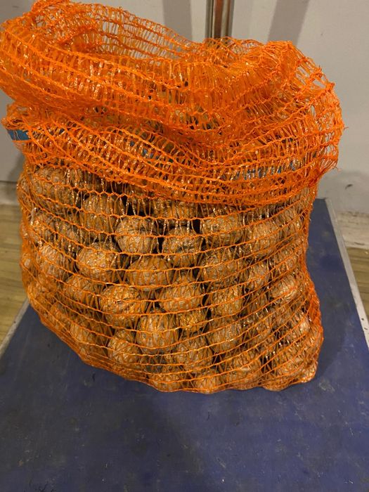 Orzechy włoskie 5kg