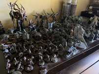Armia Warhammer Age of Sigmat