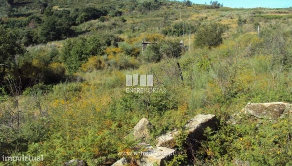 Venda Terreno, Valadares, Baião