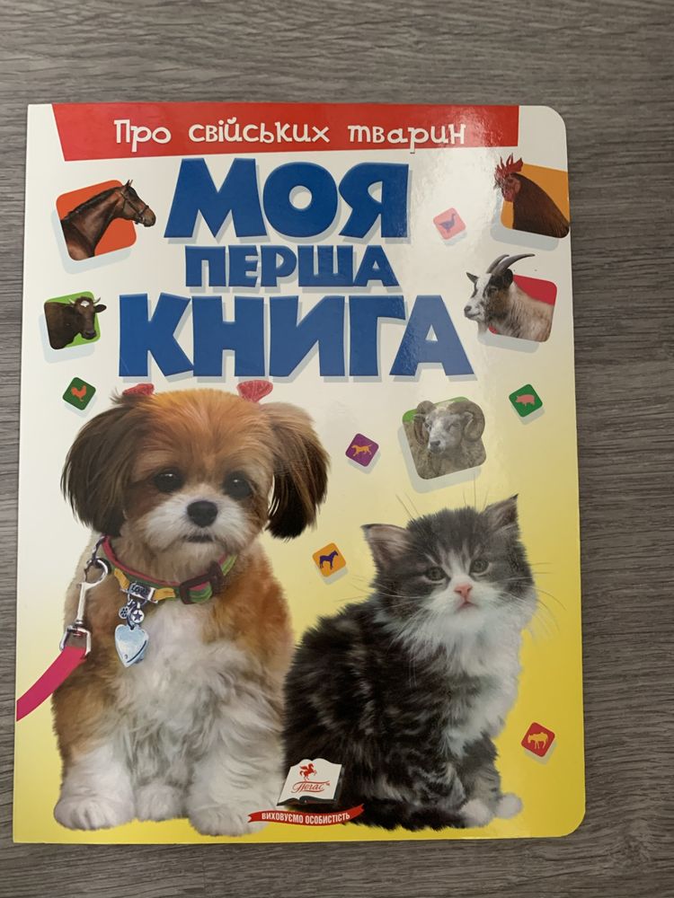 Моя перша книга