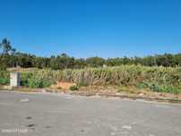 Lote entre Óbidos e Caldas da Rainha