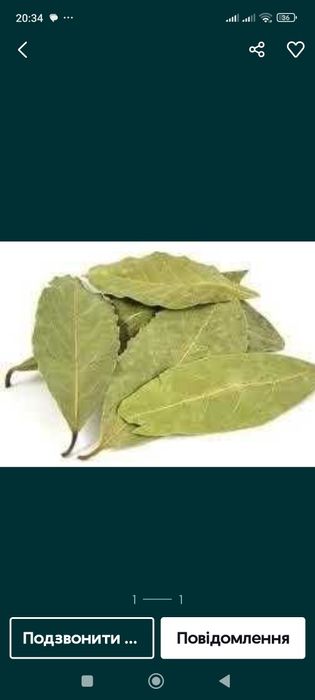 Продам лавровий лист