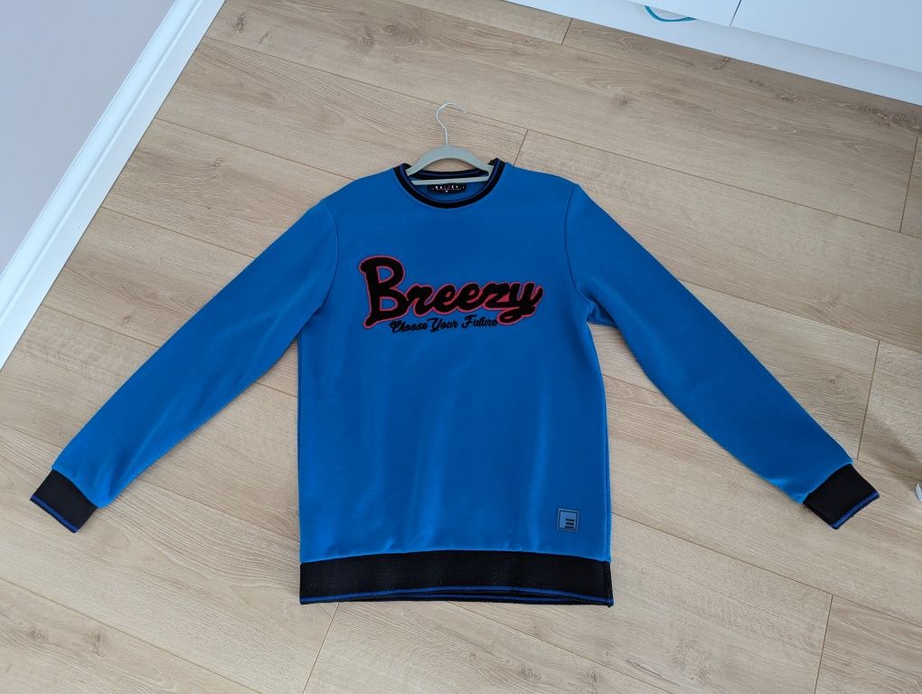 Niebieska bluza męska Breezy